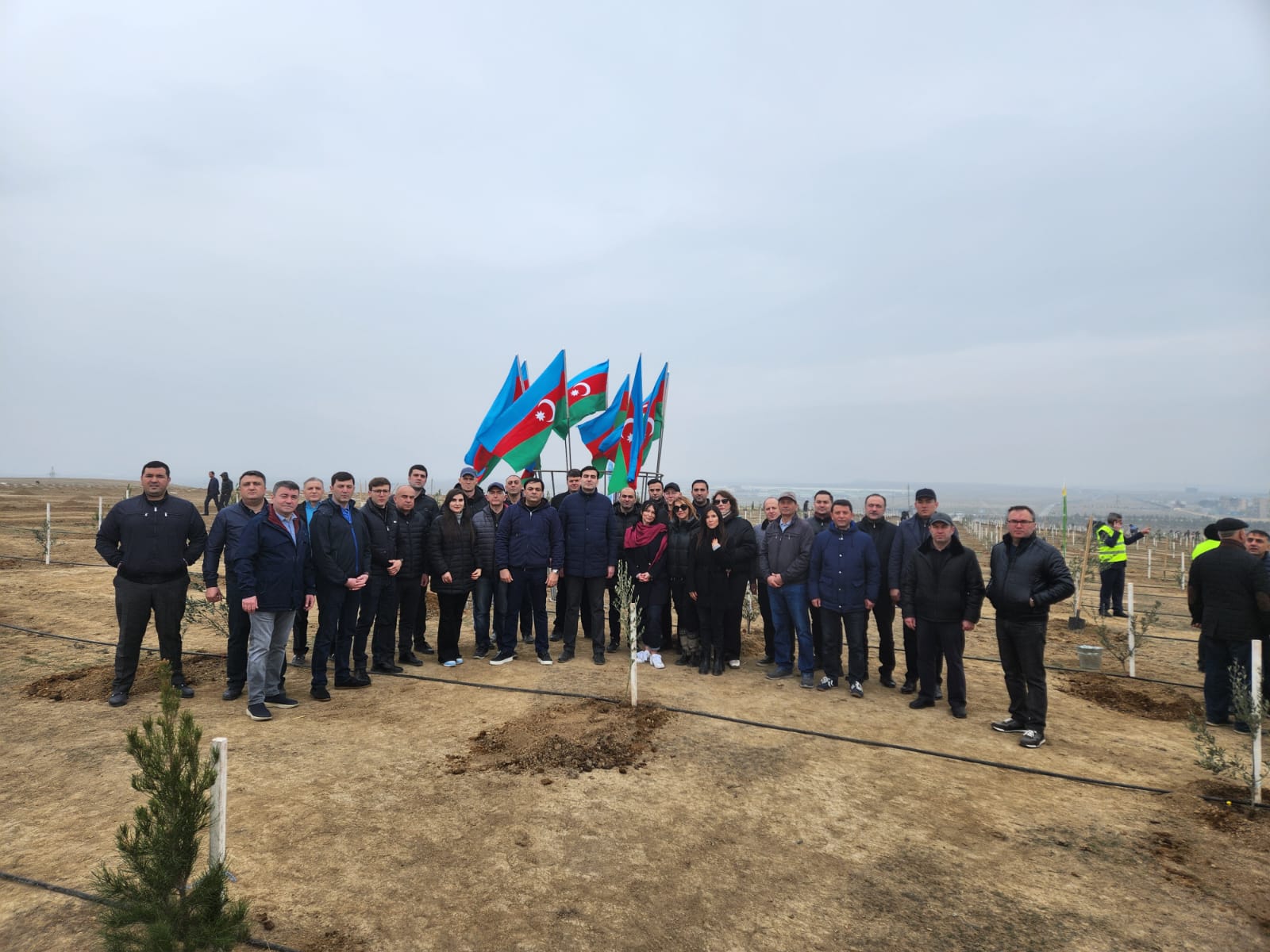 The staff of the Constitutional Court took part in the tree planting campaign within the framework of the "Year of Heydar Aliyev."