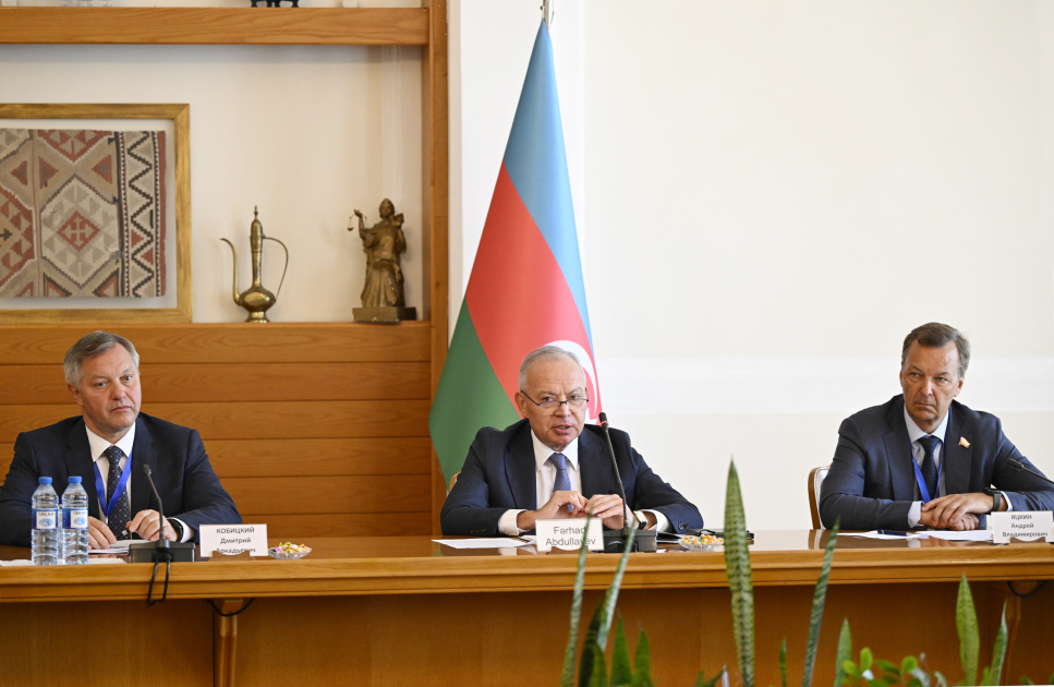 A meeting with CIS PA observers was held at the Constitutional Court